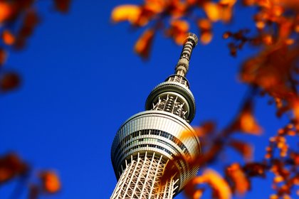 【拒签全退丨端午假期】上海直飞东京/大阪/名古屋/北海道札幌3-14天往返含税机票