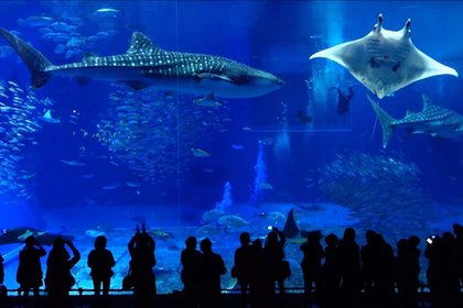 日本冲绳乐游5处/12处通票